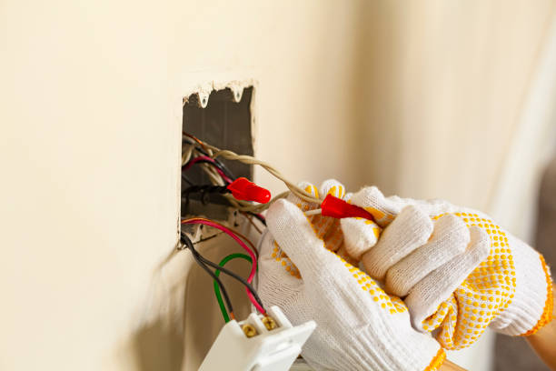 Best Electrical Panel Upgrades  in Columbus, NM